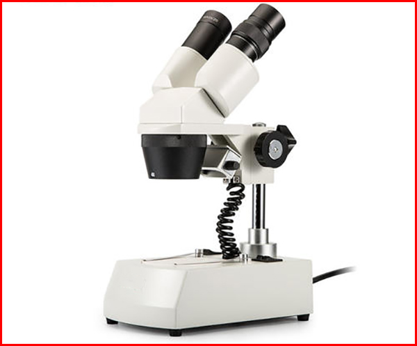 练习使用显微镜