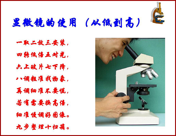 正置显微镜怎么使用 正置显微镜怎么使用